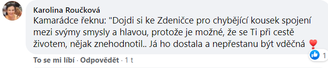 Reference Zdeňka Šulcová